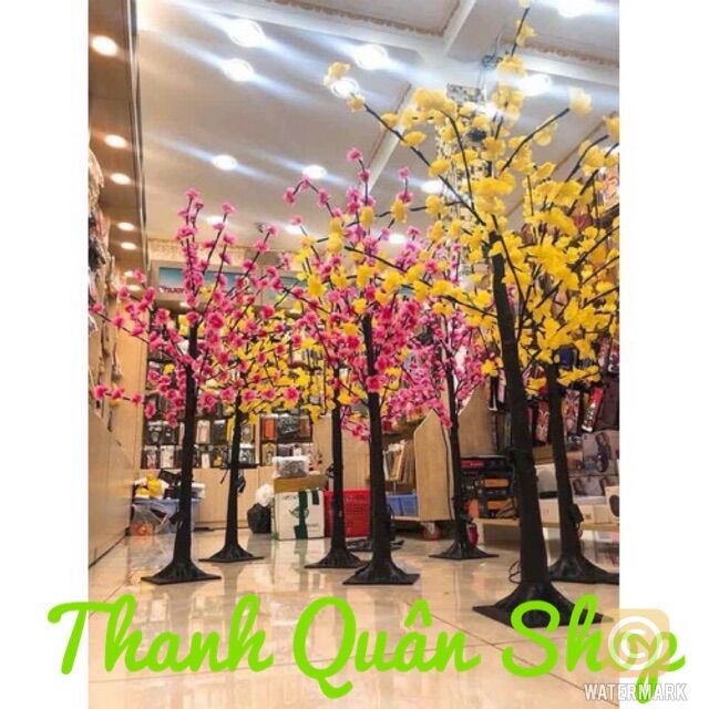 Hoa mai đào 1m2 đèn led ship grab thanh quân shop