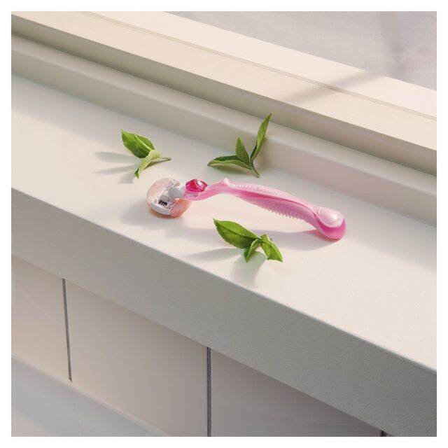 Dao cạo Gillette Venus Spa White Tea