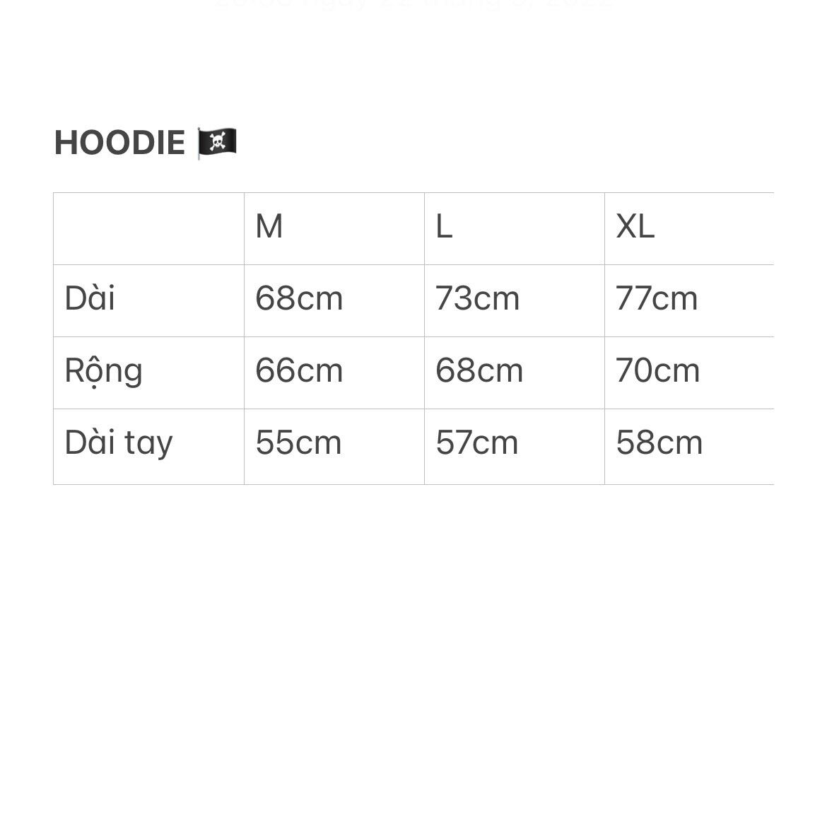 Hoodie Basic / THOXRI