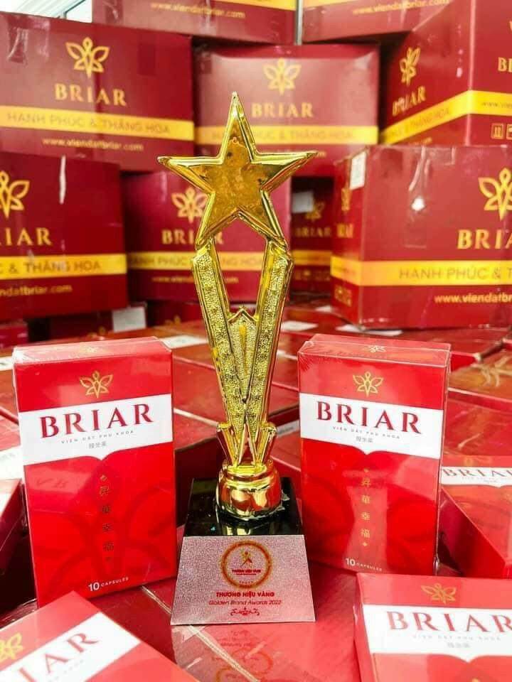 Viên đặt se khít thảo mộc briar