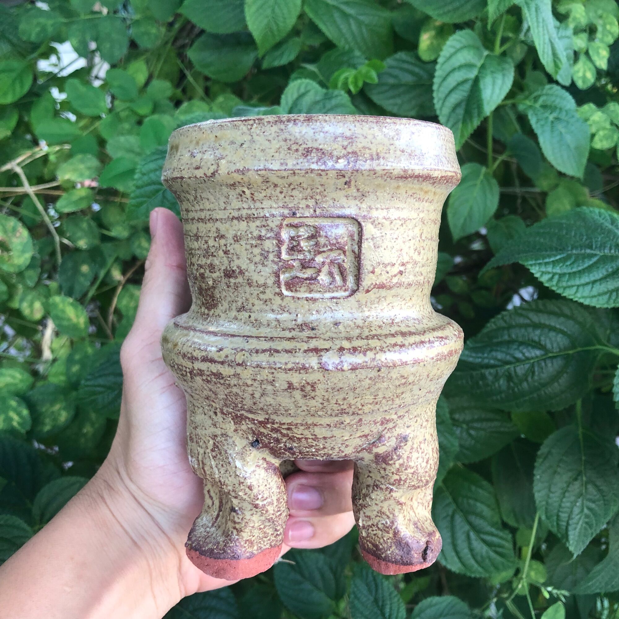 Chậu trồng sen đá xuất Hàn ( giao mẫu ngẫu nhiên )