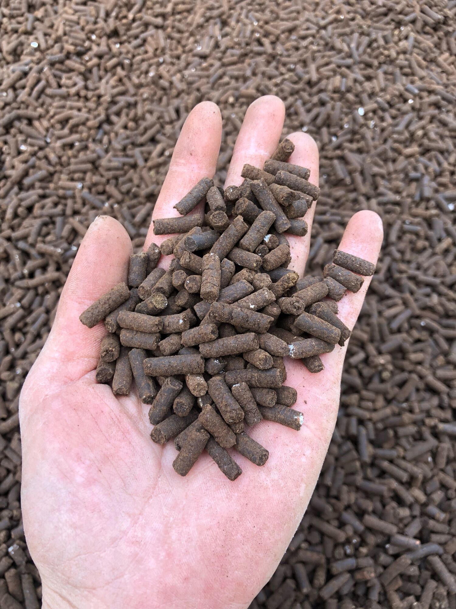 Viên nén phân dê túi 1kg