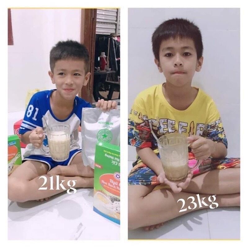 Combo 2 hộp ngũ cốc hoa bạch hải đường
