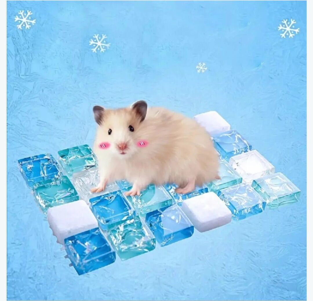 Đá tản nhiệt làm mát cho hamster | thú nhỏ