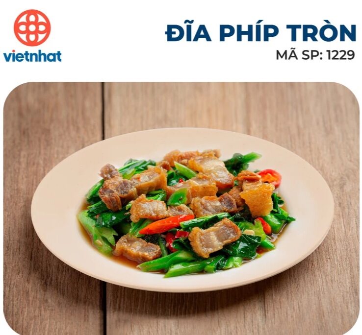 Combo 5 đĩa phíp hàng Cao cấp việt nhật