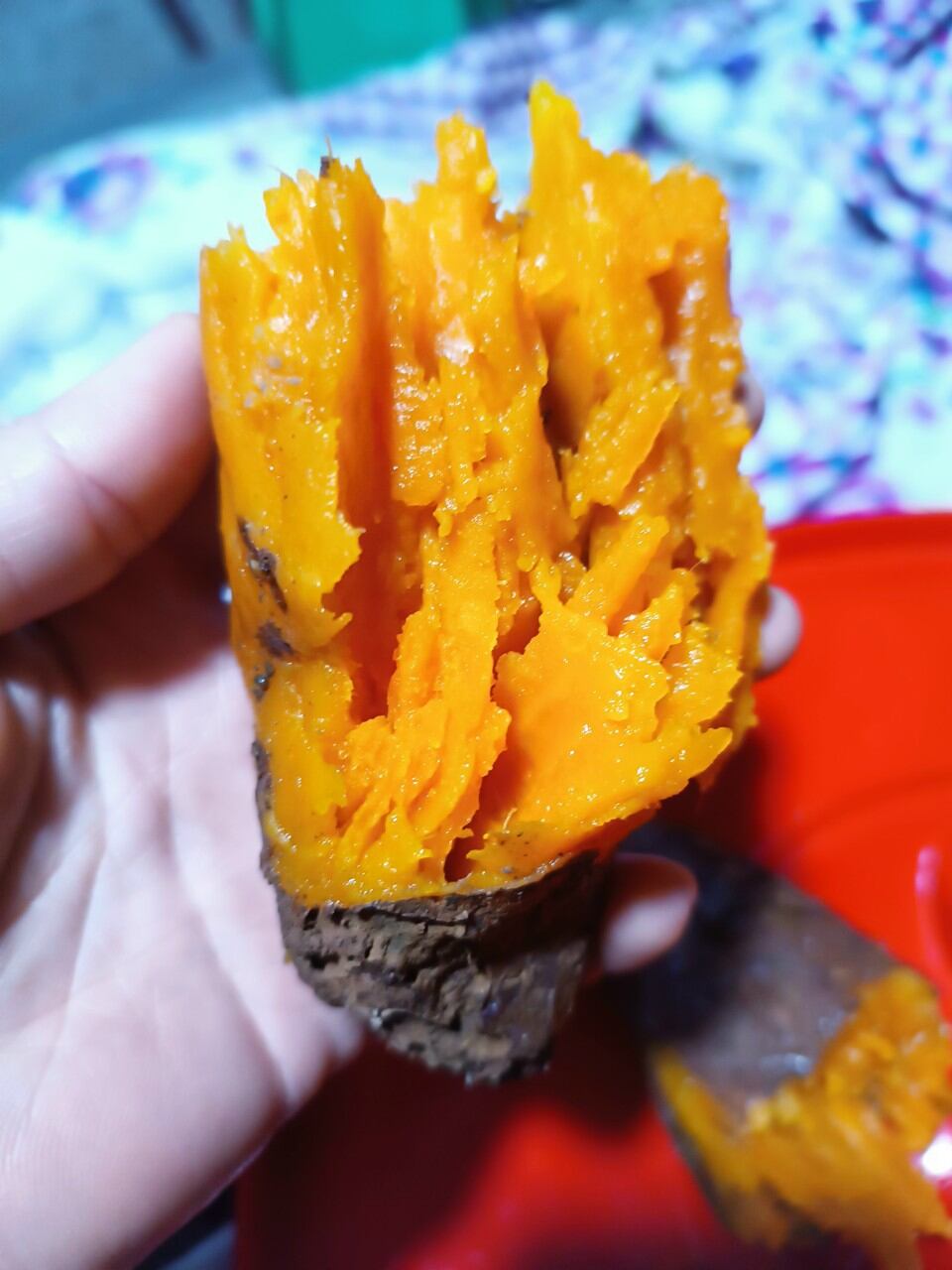 khoai lang mật size trung (8-10 CỦ1 ký) -SAM LÊ SHOP.