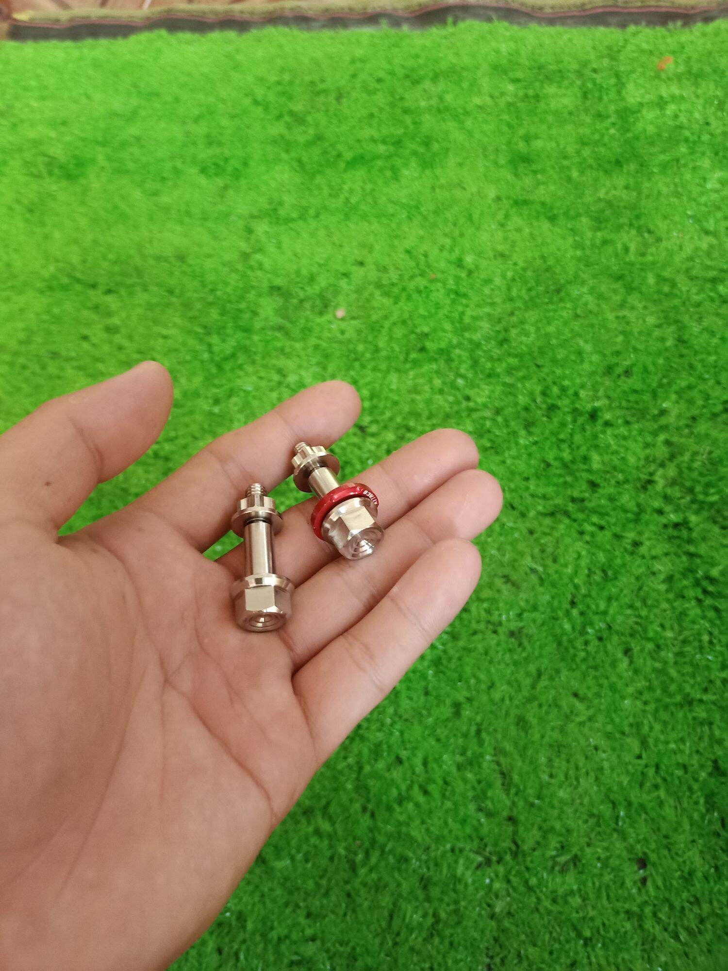 Ốc Tay Thắng Đĩa Salaya Kèm Tán