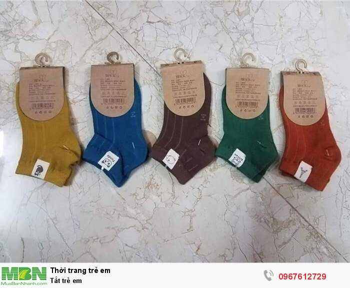 Combo 5 đôi tất trẻ em hàng dày