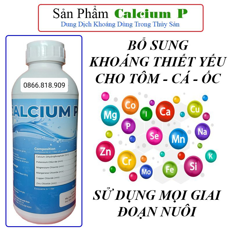 Chai 1l calcium p khoáng cá cảnh - bổ sung khoáng chất cứng vỏ lên màu sáng vảy cho tôm cá rùa ốc