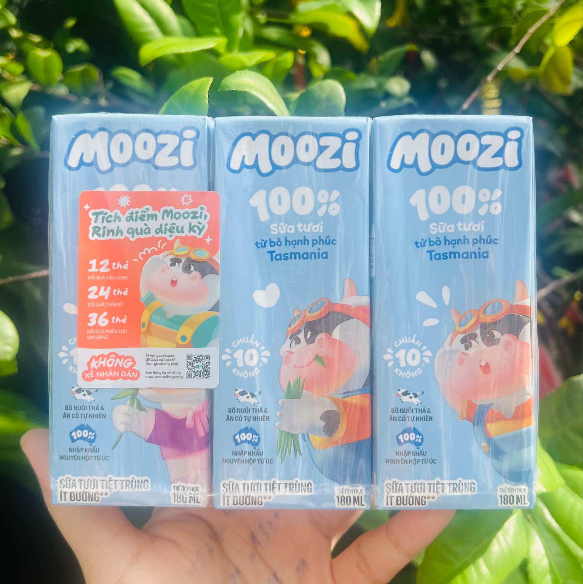 Lốc 4 hộp sữa thạch trái cây Moozi có 4 vị (4 hộp x 170ml) - 7