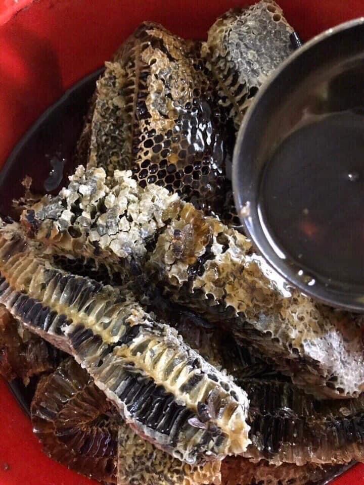 Mật Ong đen 1 lít