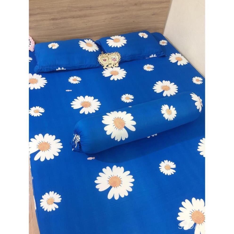[HCM]TrọN Bộ 4 MóN Drap Thun HàN QuốC Cao Cấp Đủ Size ( Giao ngẫu nhiên)