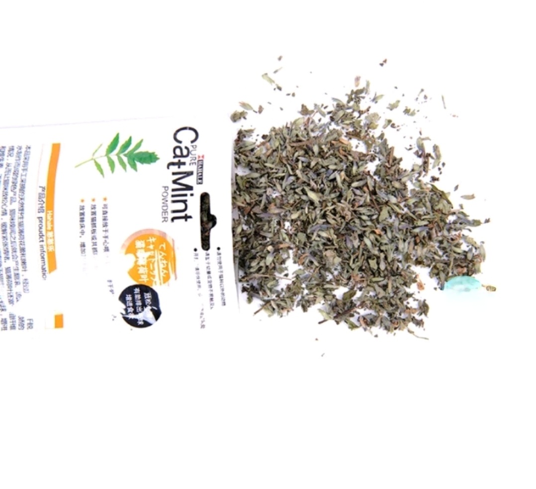 [Q12]Cỏ bạc hà Catnip / catmin cho mèo gói 5g