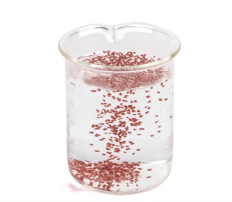 Thức ăn cá betta, bảy màu