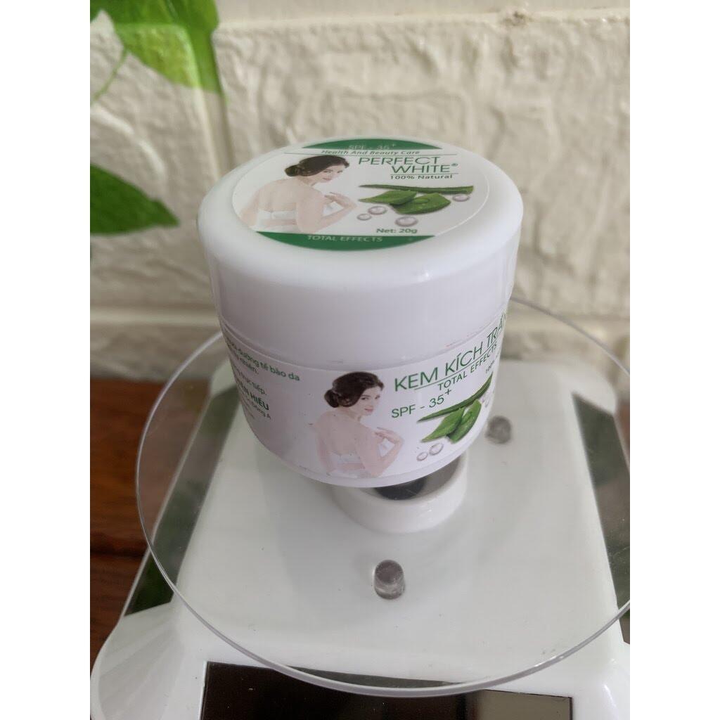 KEM KÍCH TRẮNG PERFECT WHITE NHA ĐAM