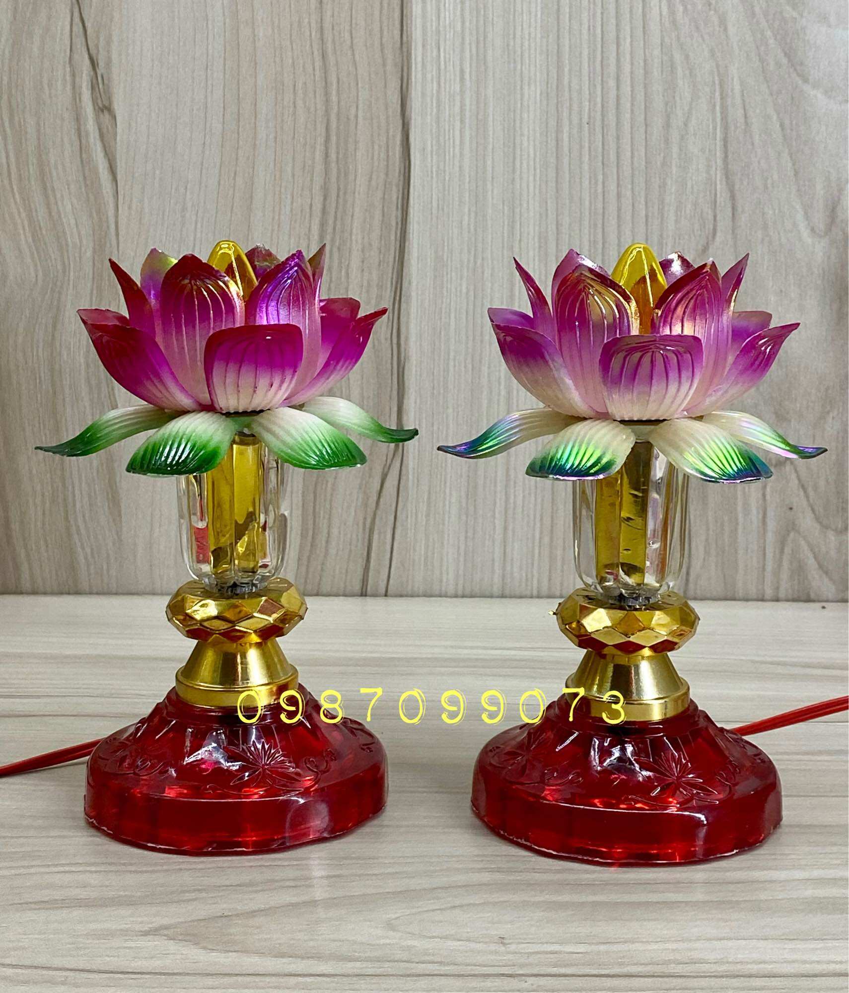 Một cặp đèn hoa sen nhựa - sử dụng bóng e12