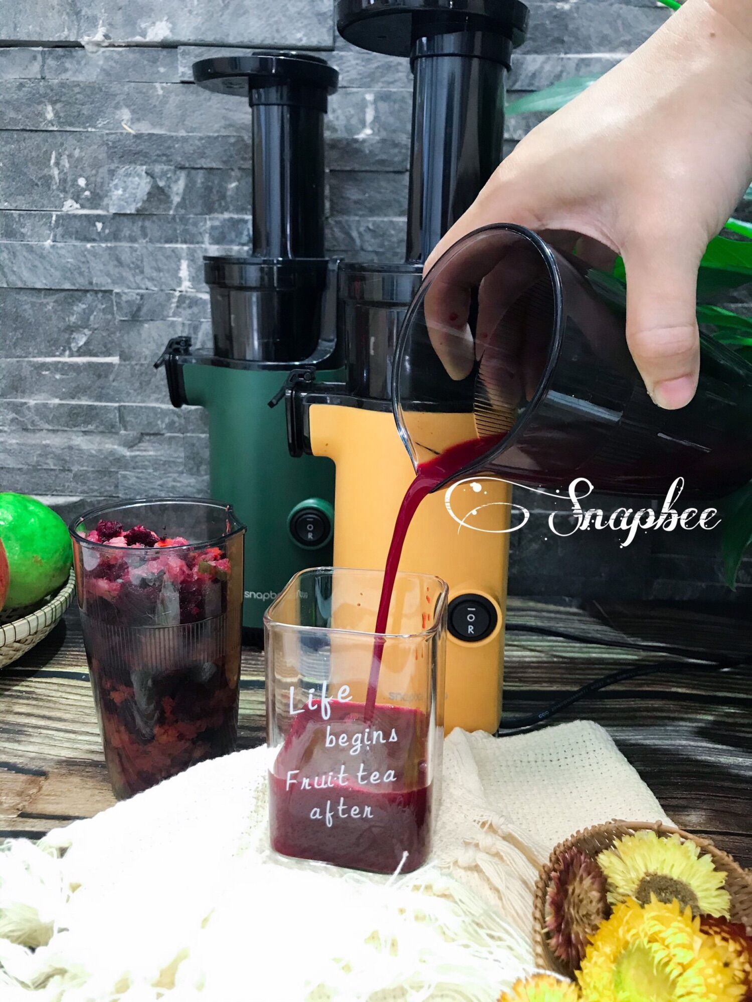 Máy Ép Chậm SNAPBEE SK-202-US