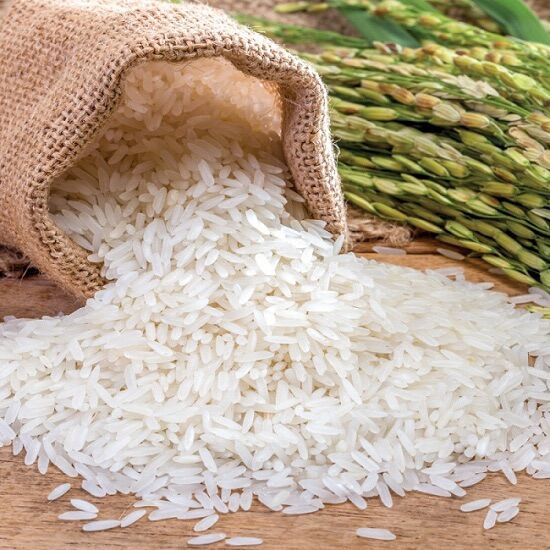GẠO ST25 ( bịch 10kg ) GẠO NGON NHẤT THẾ GIỚI
