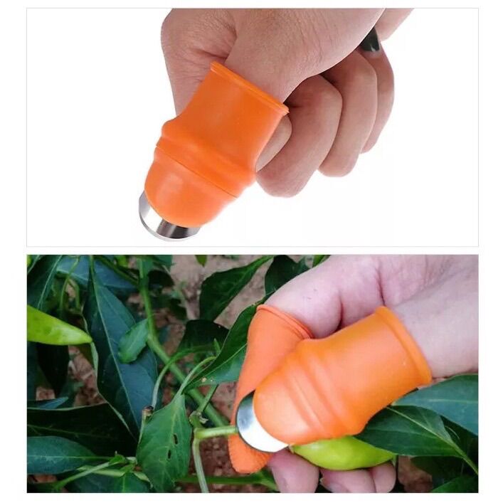 Găng Ngón Tay Ngắt Rau Củ-Găng tay bấm, ngắt, hái rau chuyên dụng, bộ móng hái rau tiện liệu