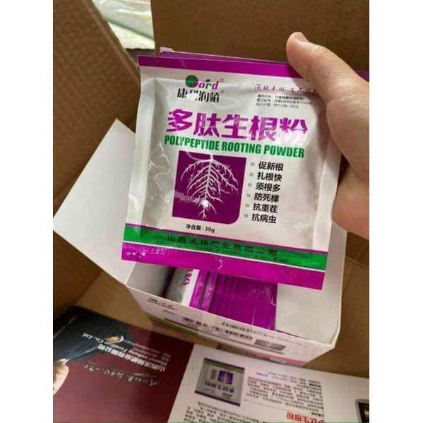 10 gói Siêu kích rễ Trung Quốc giâm cành, chiết cành