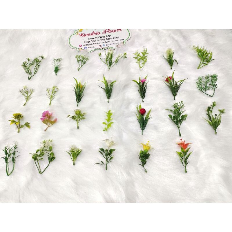 100gr cỏ điểm hoa các loại đã nhặt sạch cọng dư