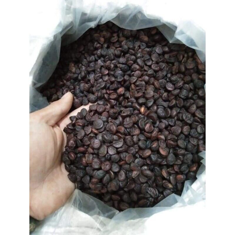 Hạt dổi nếp Hòa Bình cổ thụ 100G