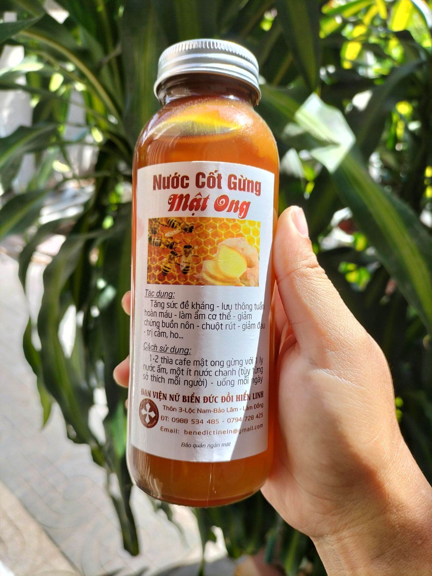 Nước Cốt Gừng Mật Ong Biển Đức