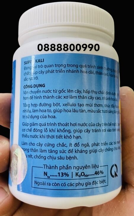 Super Kali - Thầy 8 Ngọc