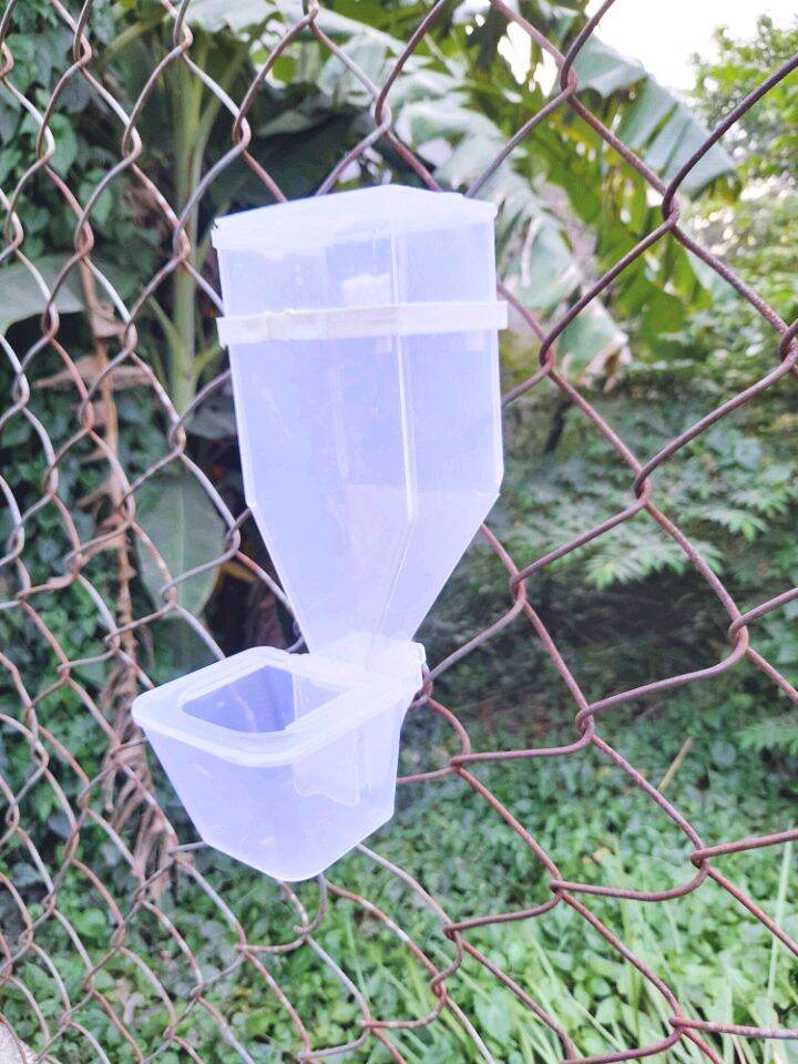 Khay đựng thức ăn cho chim, gà...
