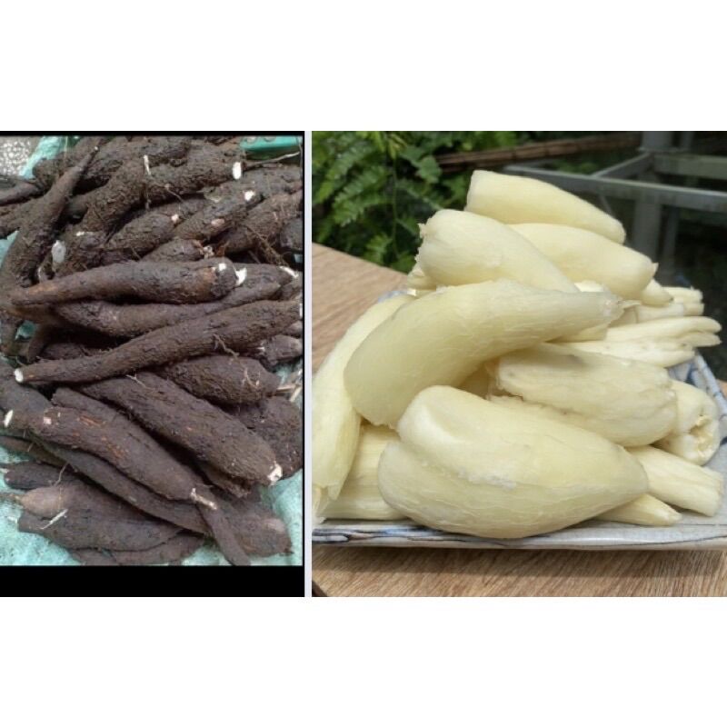 [Combo 5kg] Củ mì, khoai mì tươi