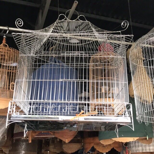 Lồng inox yểng, nhồng