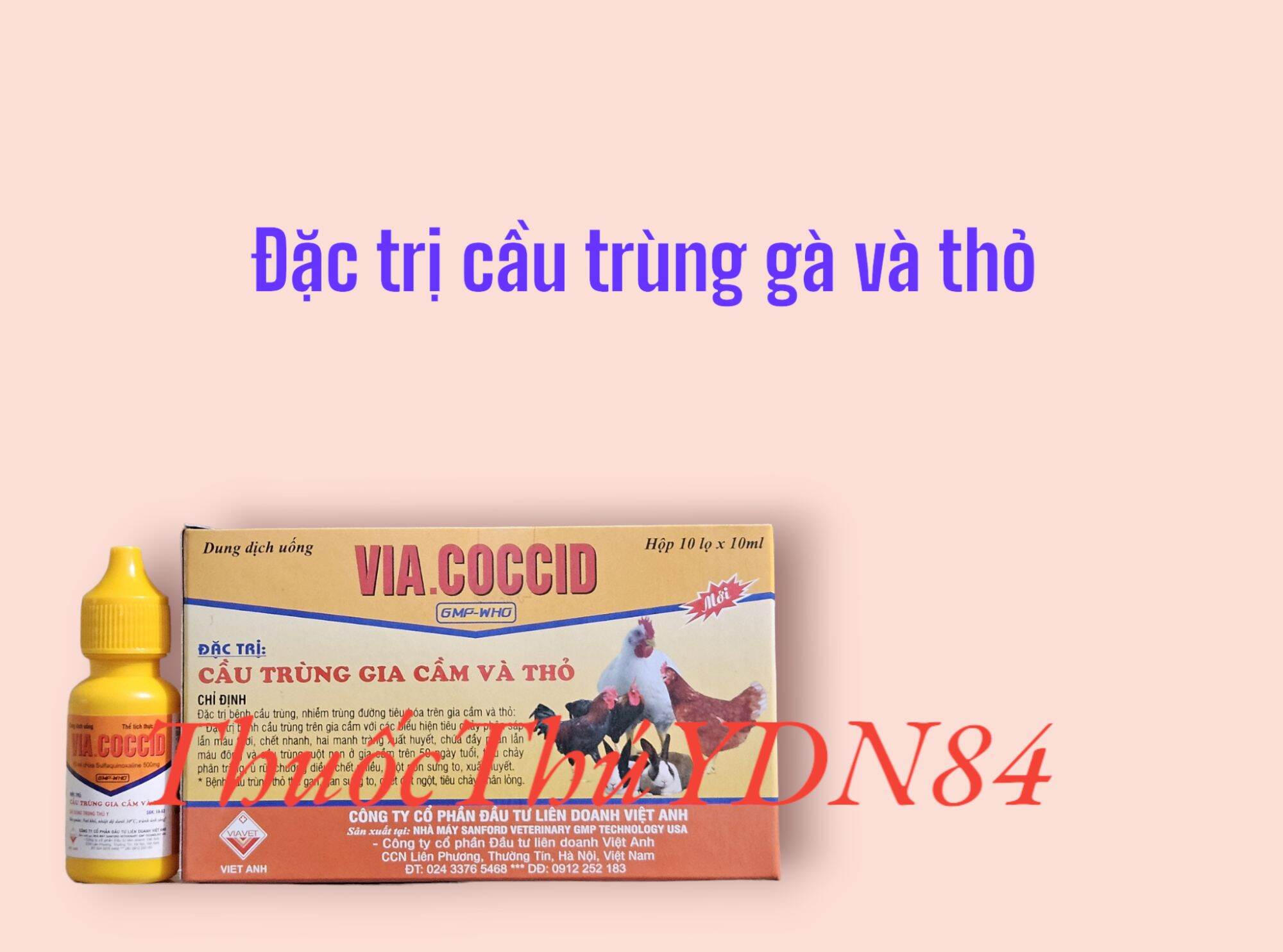 5 lọ Via coccid 10ml cầu trùng gà, thỏ