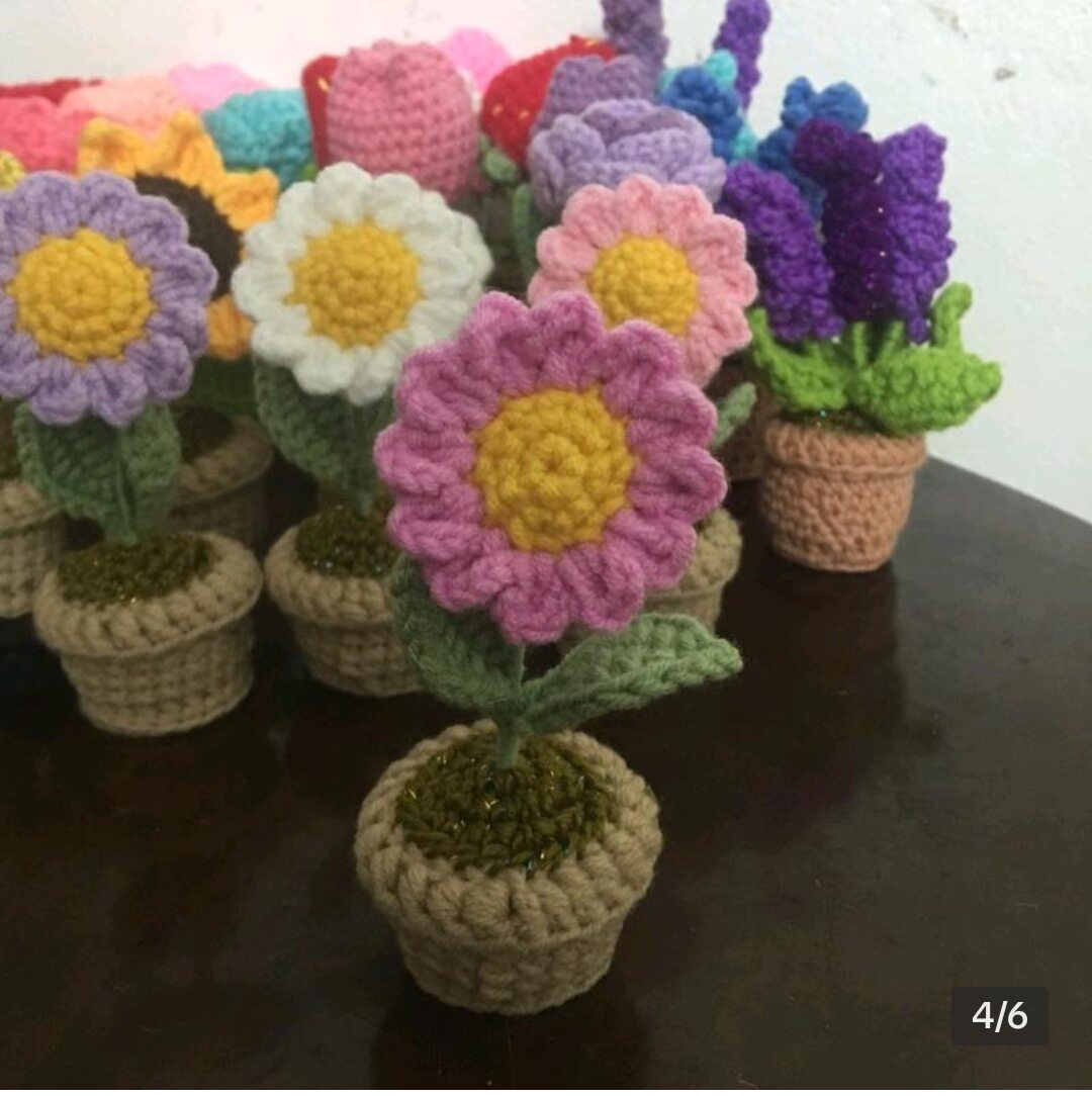 Chậu hoa cúc mini bằng len handmade