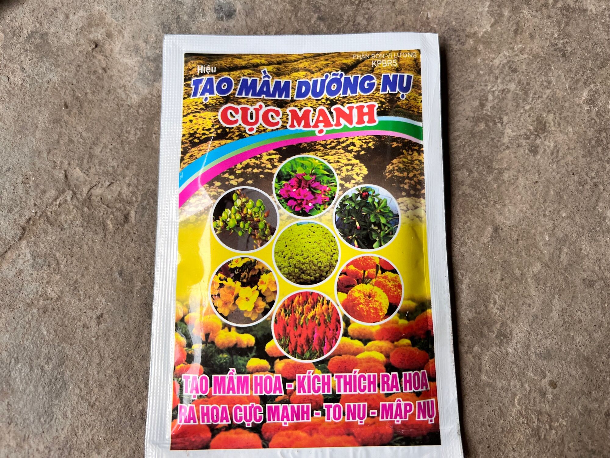Tạo mầm dưỡng nụ mập nụ