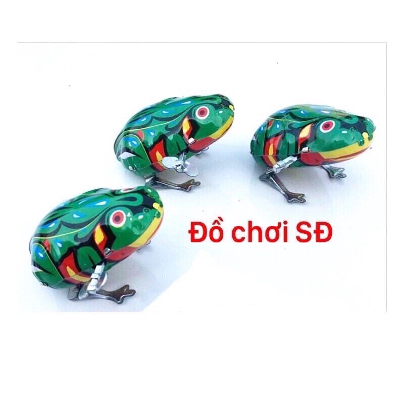 Con cóc nhảy - 1 con
