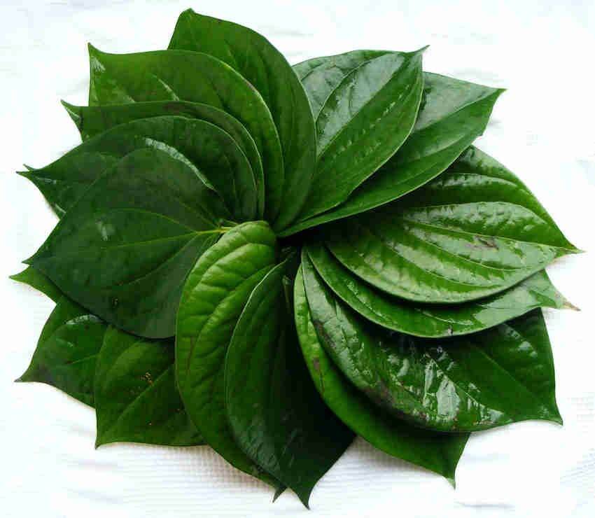 la trâu không 1kg
