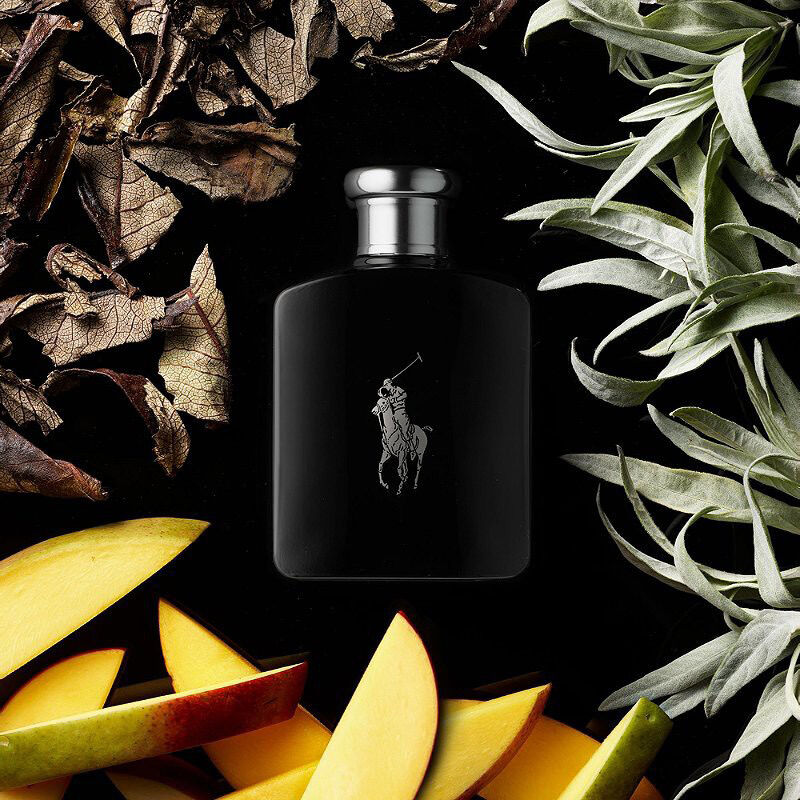 Nước hoa chiết Polo Black 10ml - Nước hoa nam - Authentic