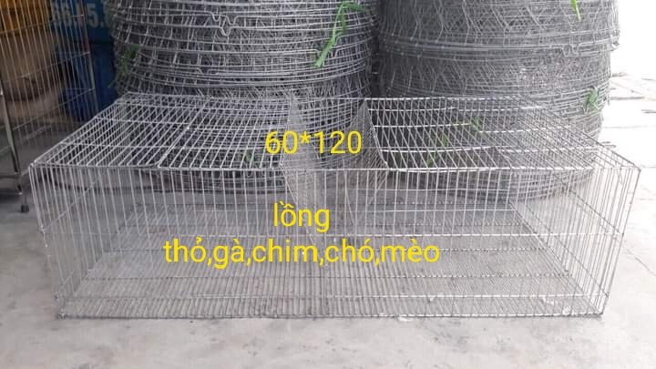 Lồng thỏ sinh sản thỏ thịt