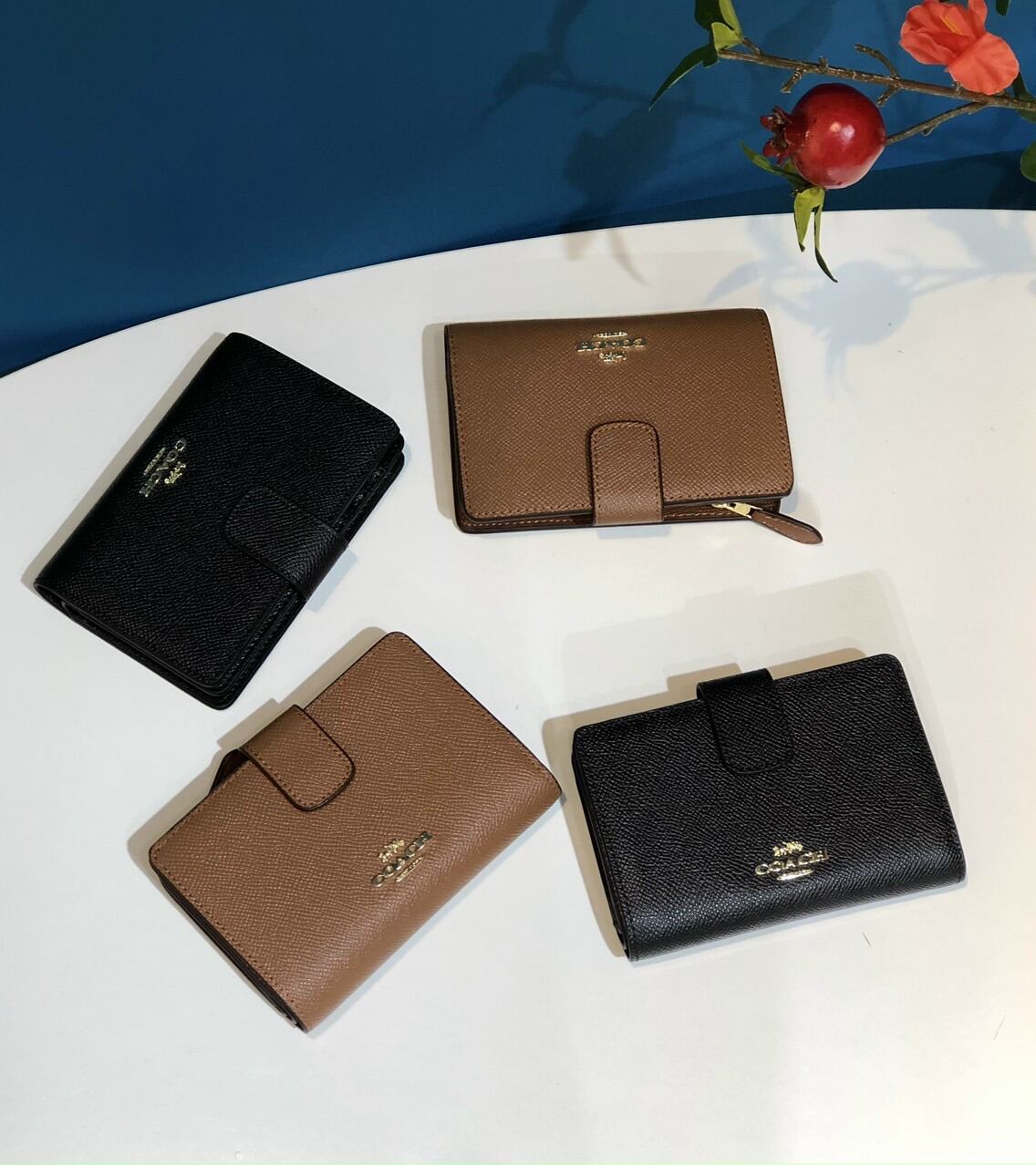 coach wallet Chất Lượng, Giá Tốt 