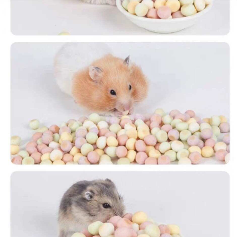 Bánh bột sữa cho hamster