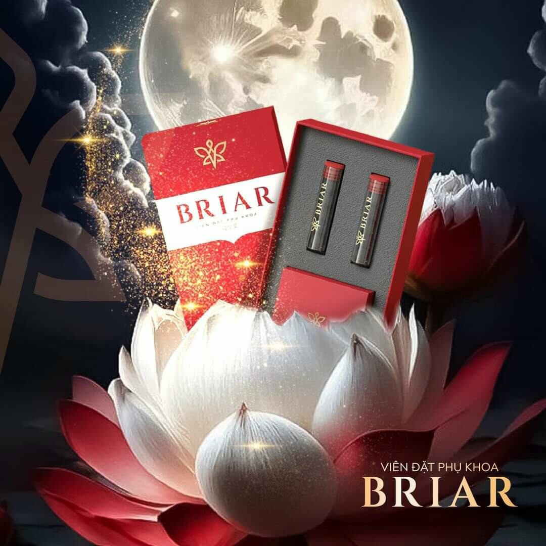 Viên đặt se khít thảo mộc briar