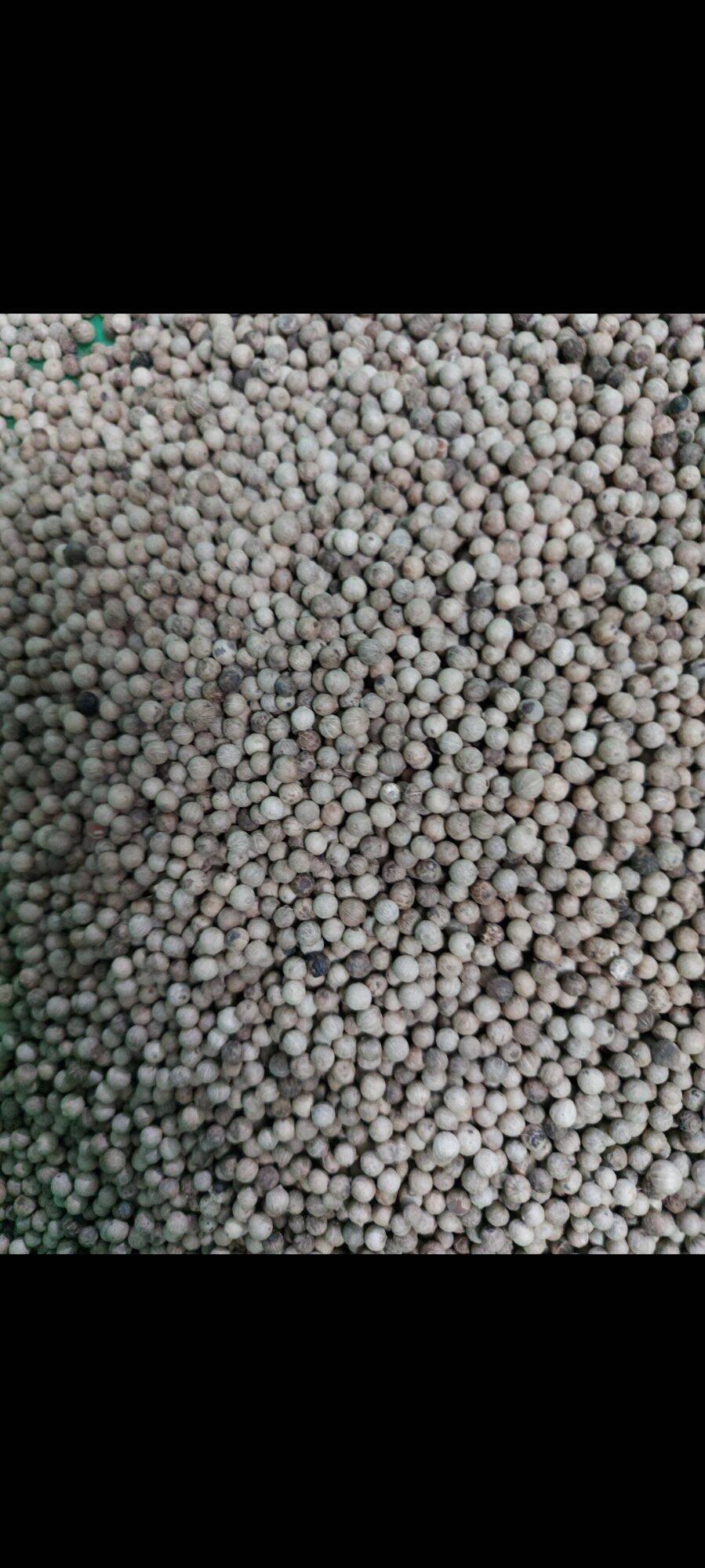 1 kg hạt tiêu sọ xám