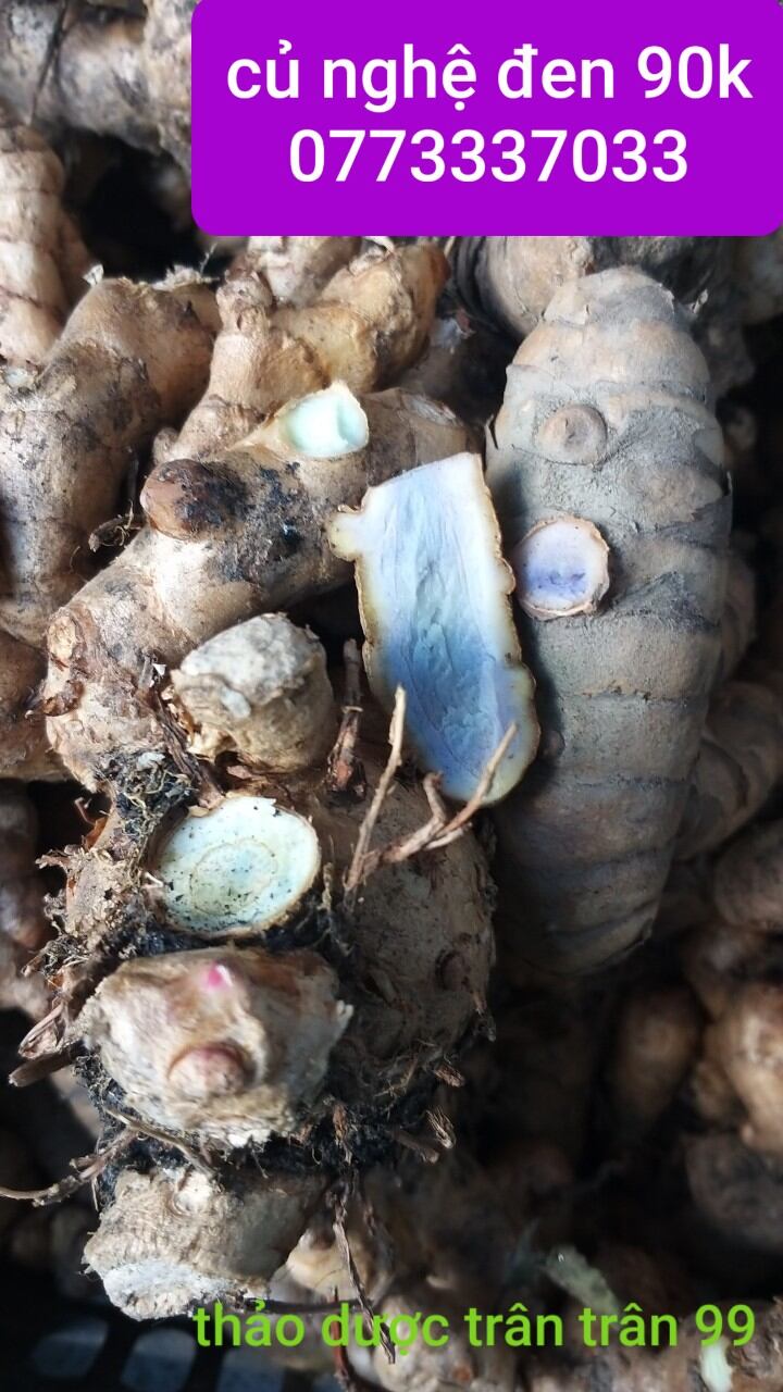 Củ nghệ đen tươi 1kg