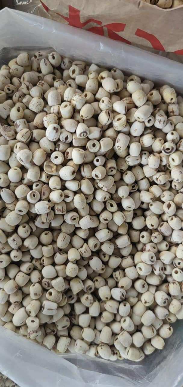 500gr hạt sen khô