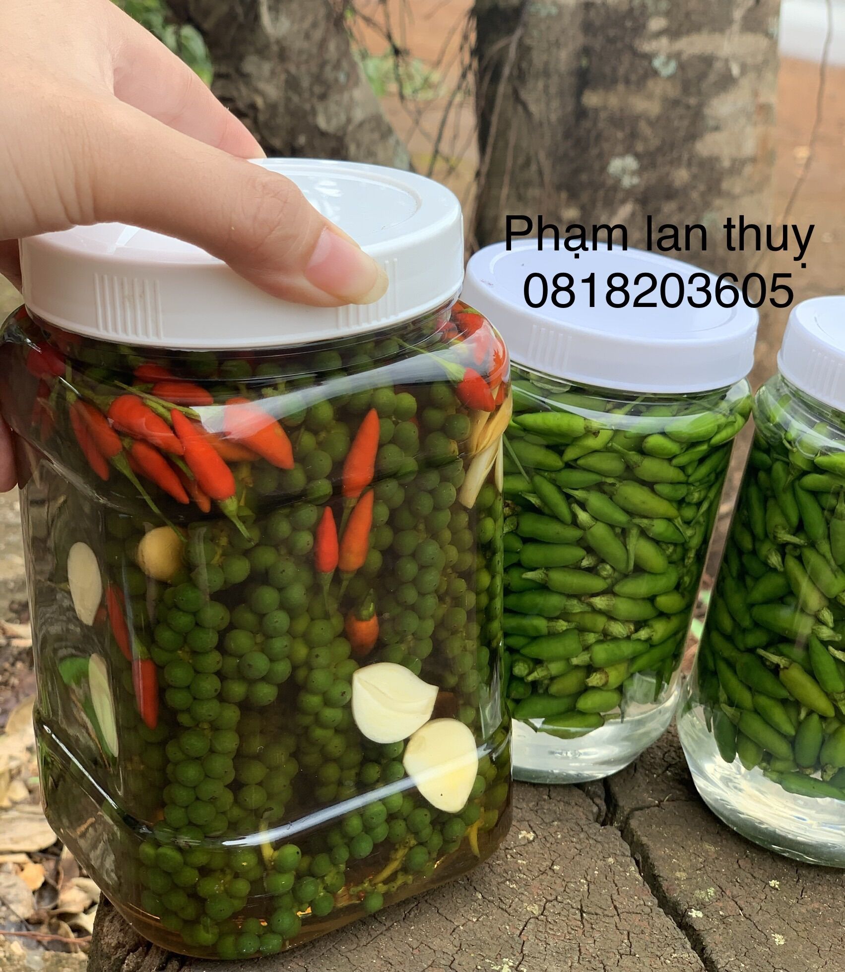 Tiêu Xanh ngâm mắm 1kg/hũ