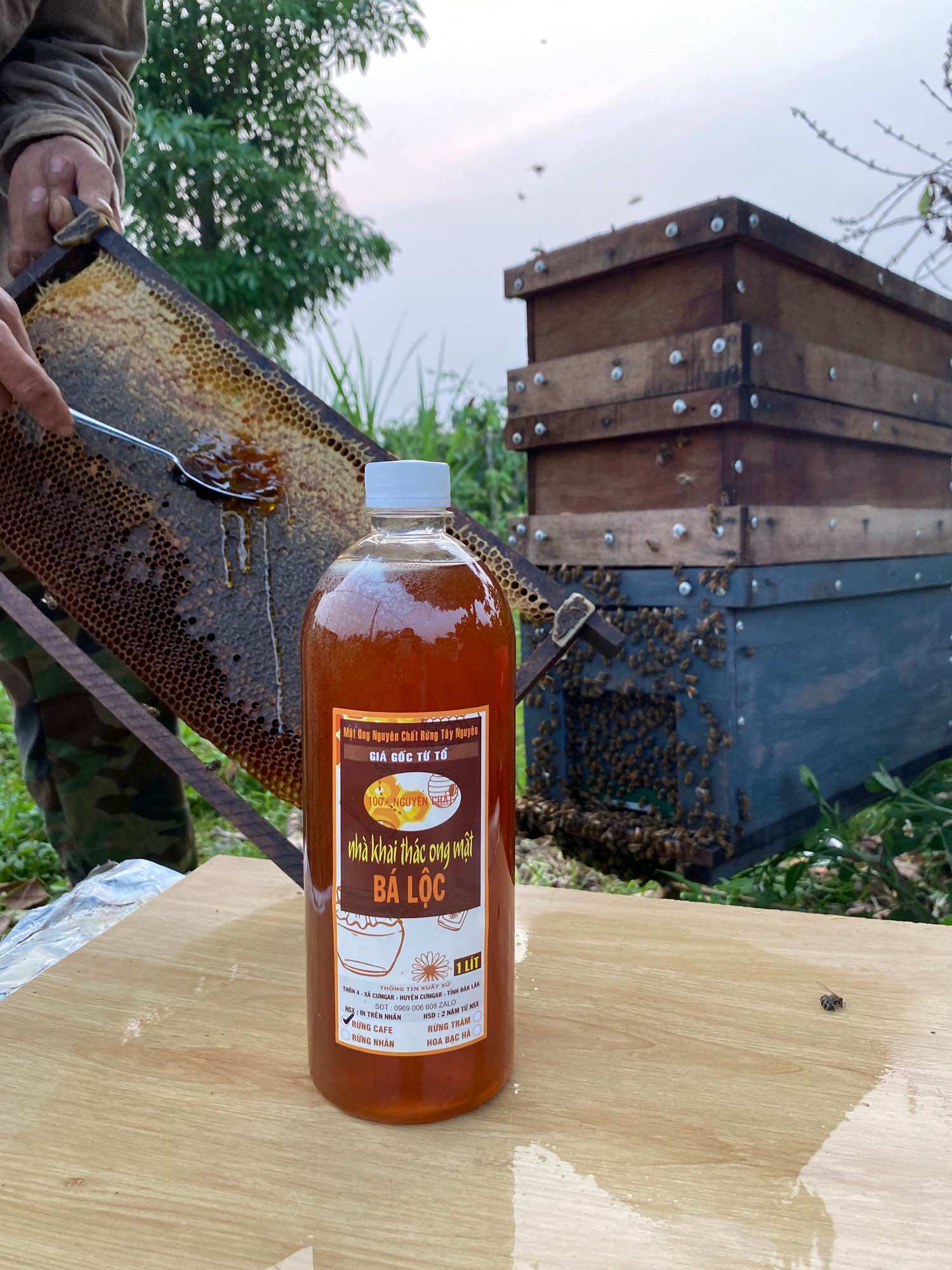 1Lít Mật ong Rừng Cà Phê Bá Lộc nguyên chất - Mật ong thiên nhiên từ rừng Caf Phê