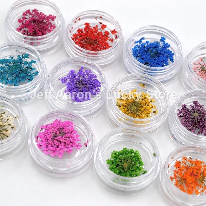 Set hoa khô chùm trang trí nail 12 màu
