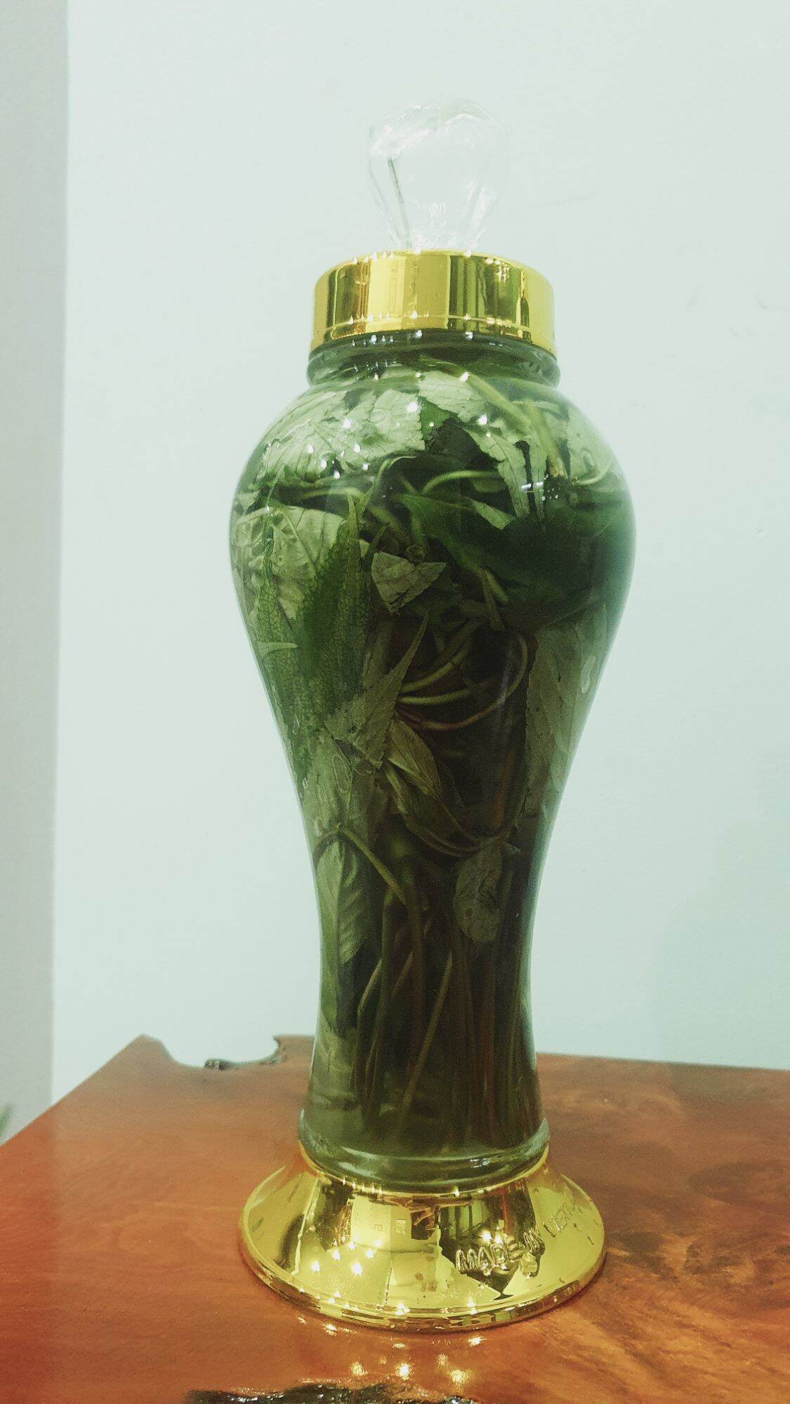 Lá sâm Ngọc Linh 8l ngâm