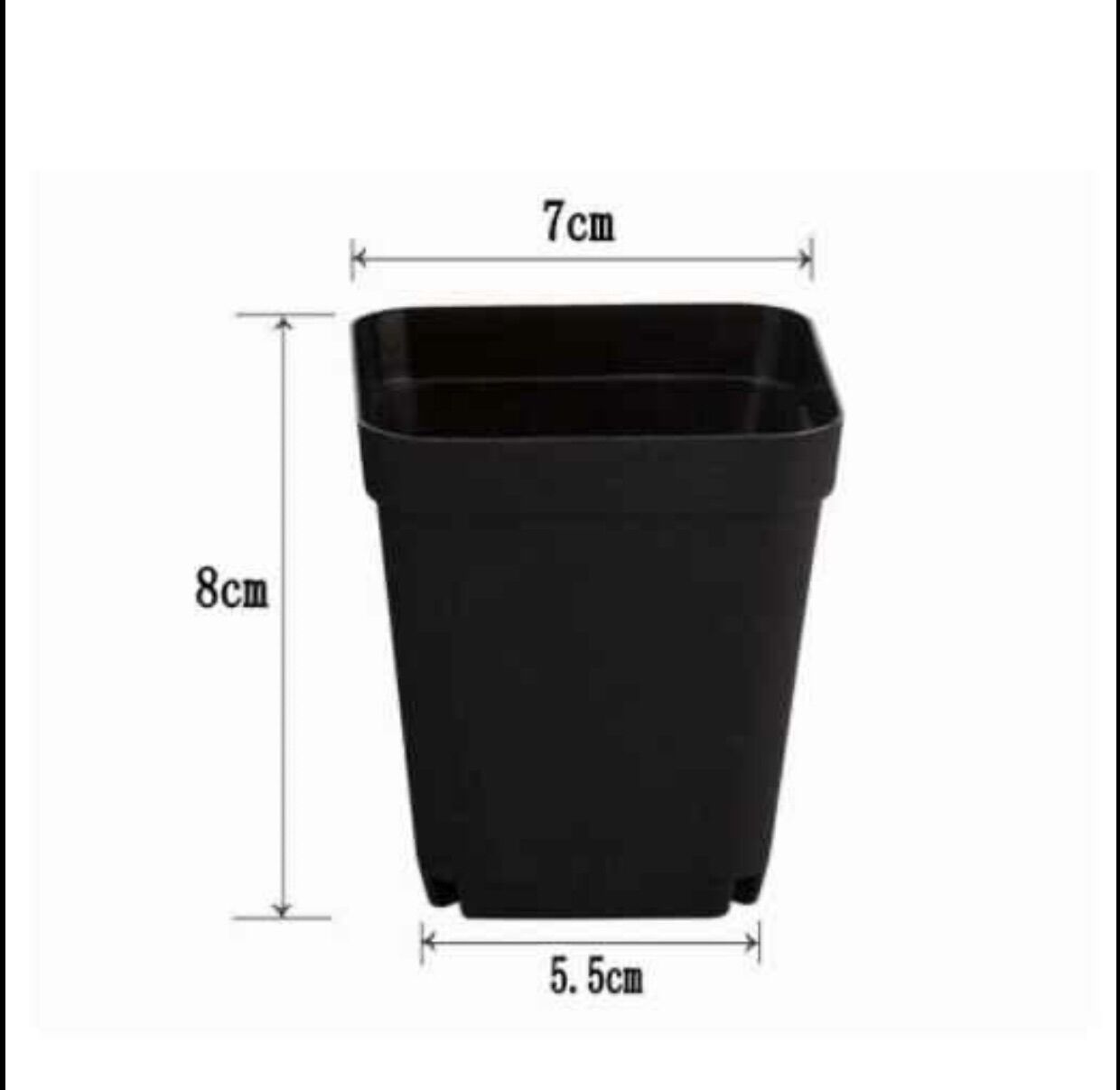 Chậu nhưah trồng sen đá