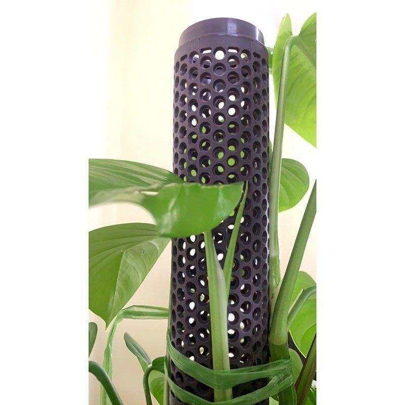 TRỤ CHO TRẦU BÀ LEO/TRỤ CHO CÂY LEO